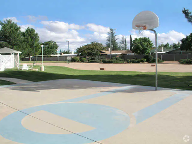Basketball & Rec Area